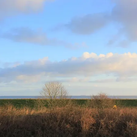 Dom wakacyjny Strandhaus - Haus 8 Schillig