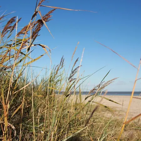 Holiday home Strandhaus - Haus 8 Schillig