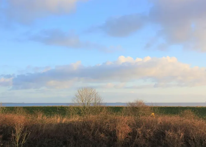 Tatil Evi Strandhaus - Haus 8 Schillig