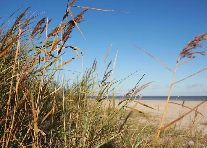 Tatil Evi Strandhaus - Haus 8 Schillig